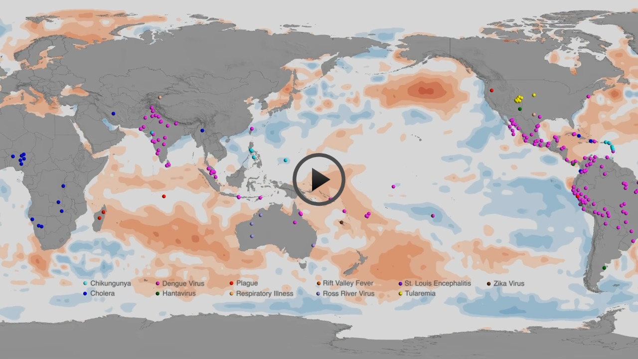12 Climate Trends That Will Shape 2025