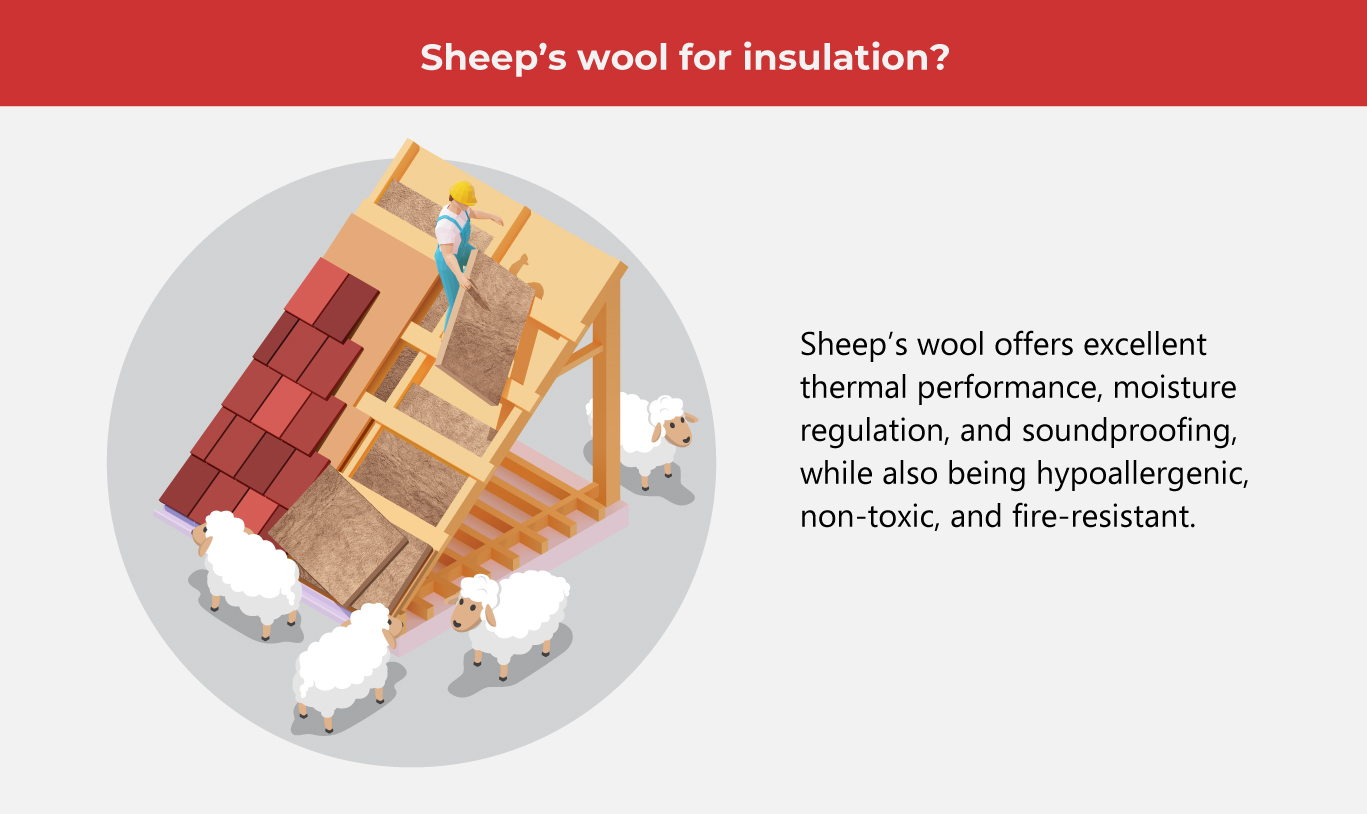 The Rise of Low-Carbon Buildings 