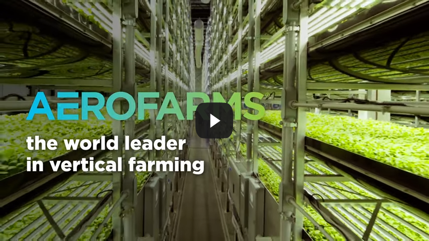 Vertical Farming Takes Food Production to Greater Heights