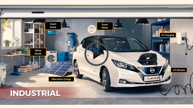Automotive Vision
