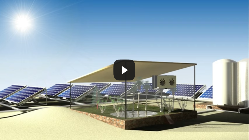 These solar panels pull in water vapor to grow crops in the desert